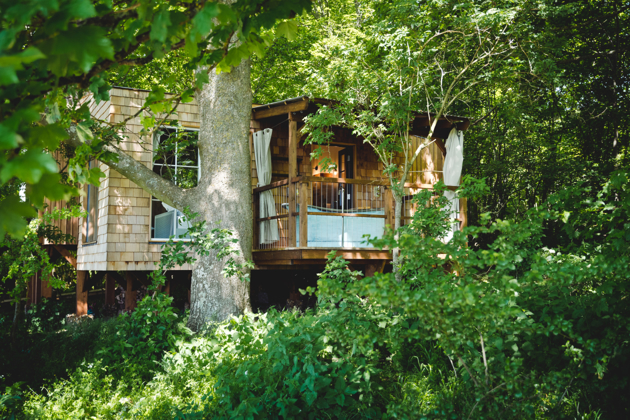 Wild Escapes, Hampshire, 4 Treehouses sleeps 2-4