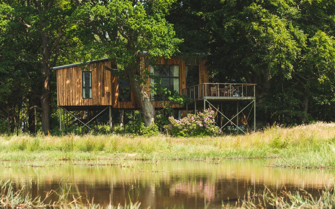 The Treehouses at Leckie, Stirling, 4 treehouses, Each Sleeps 2-6