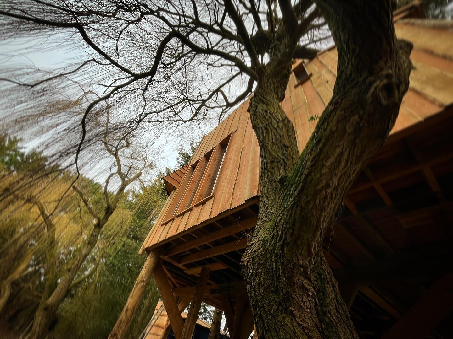 The Orchard at Fenny Castle, Pomeroy Treehouse exterior image00126