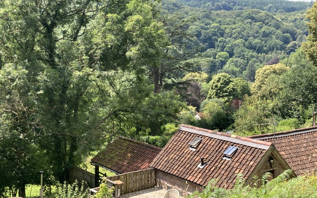 Owls Nest Hideout, The Wye Valley, Sleeps 2