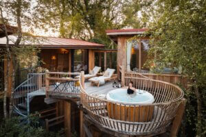 Wolf Wood Spa Treehouse