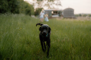 Well Furlong Shepherds Retreat Cotswolds