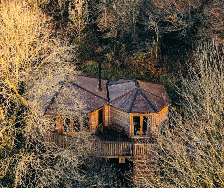 Sleepy Owl Devon Hideout Treehouse