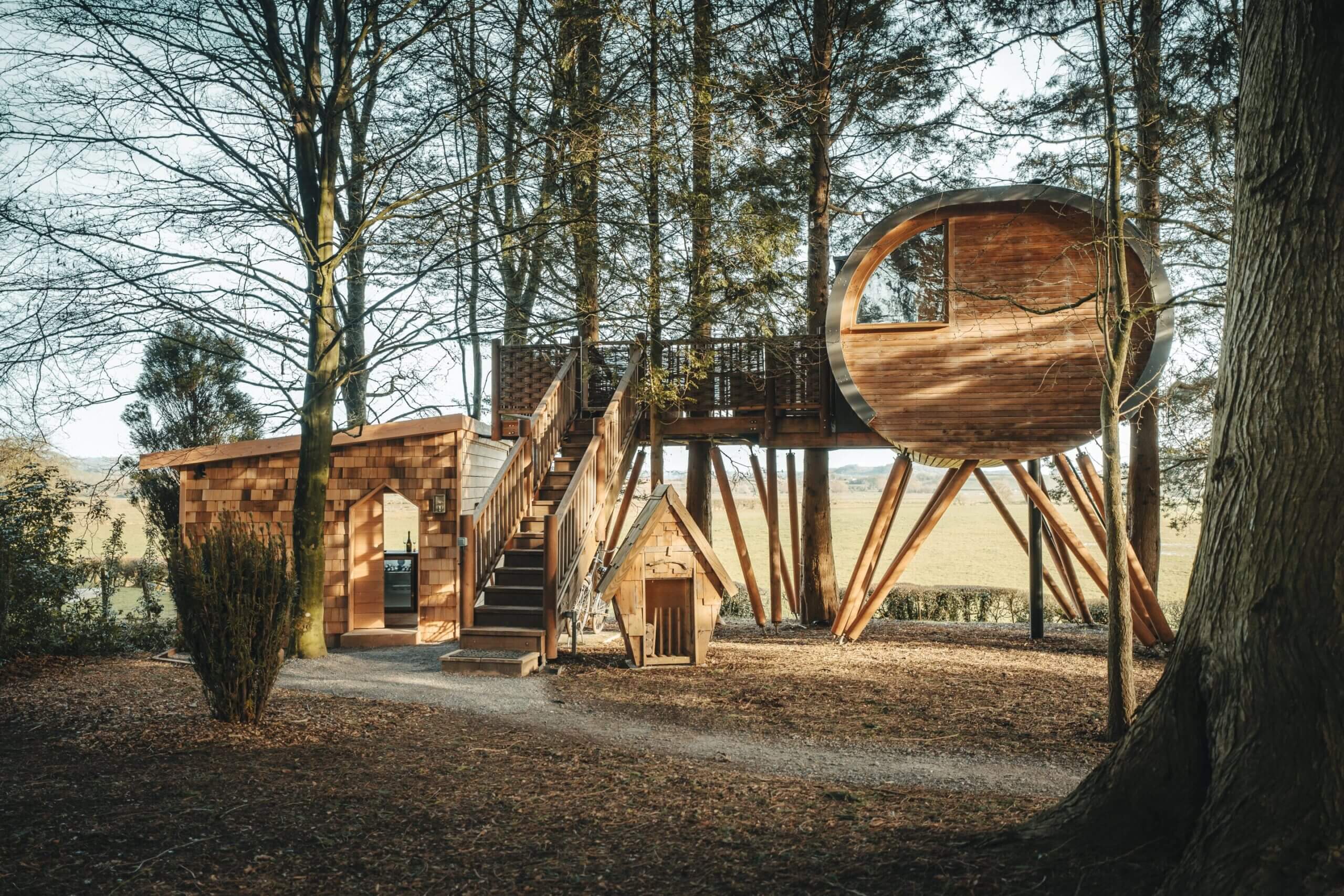 The Orchard at Fenny Castle, Dabinett Treehouse