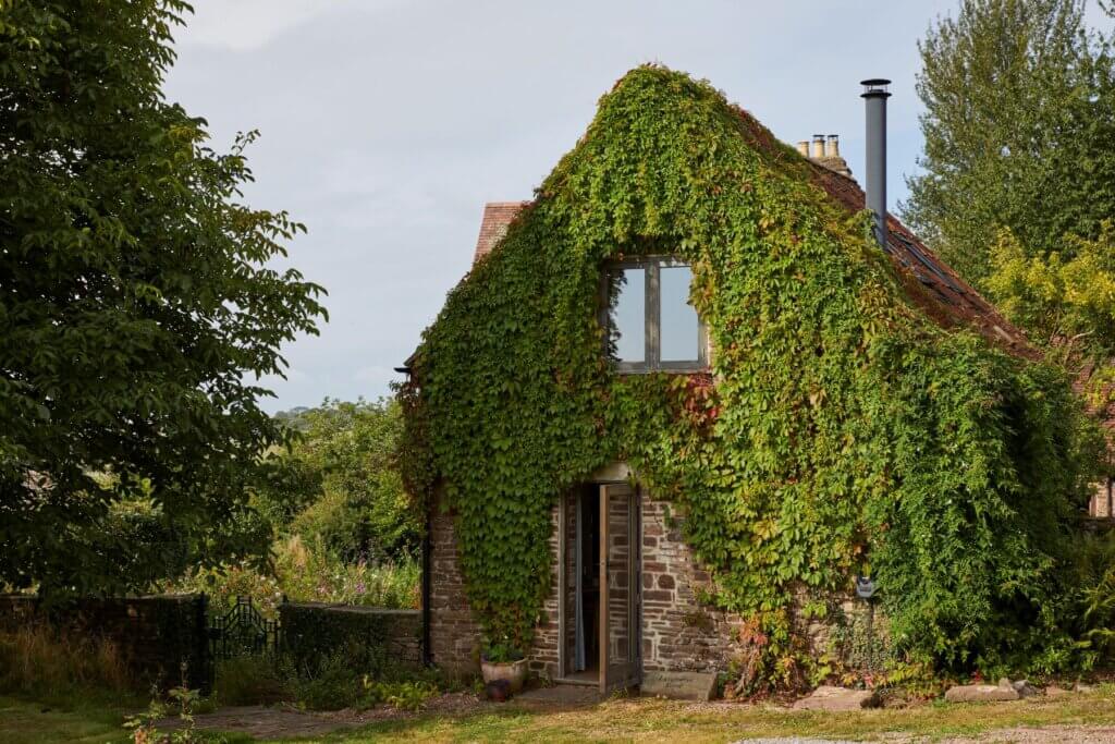 Exterior Lavendrye Barn landscape