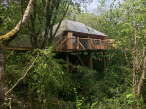 Black Wolf Treehouse