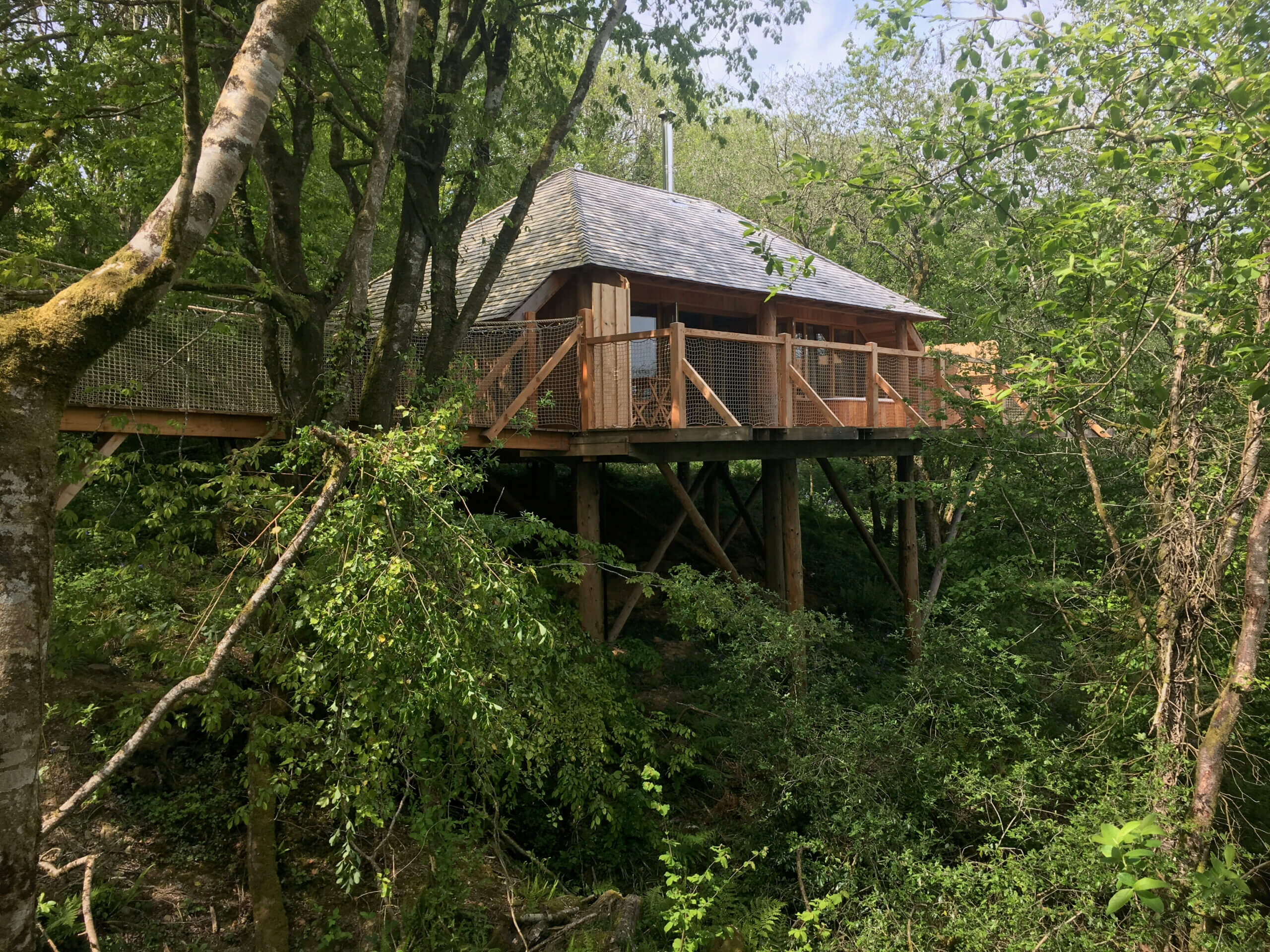 Black Wolf Treehouse and The Lookout Treehouse