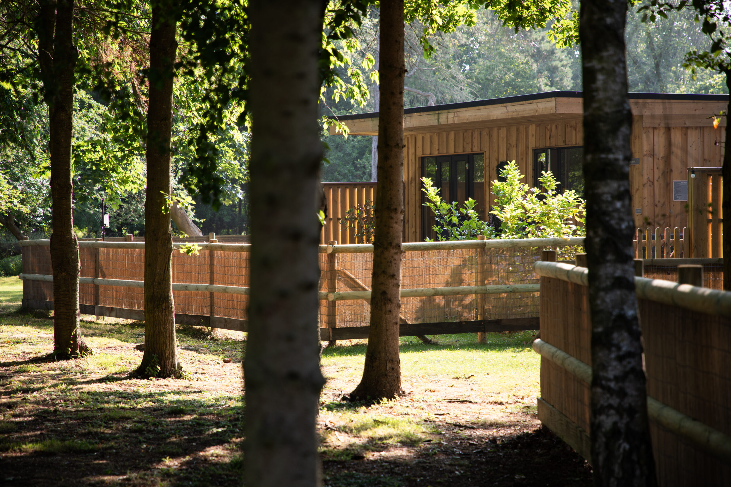 Toppesfield Woodland Lodges