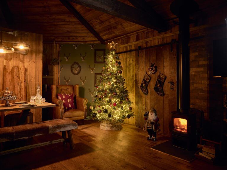 Sleepy Owl Christmas