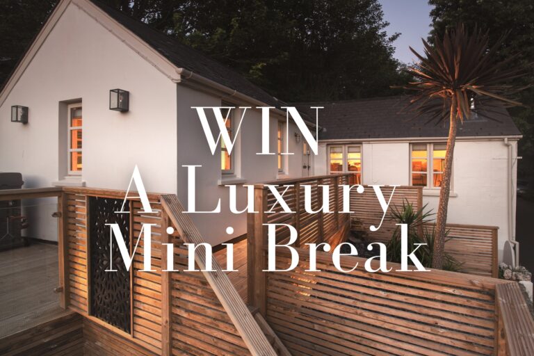 The Old Apple Store Competition