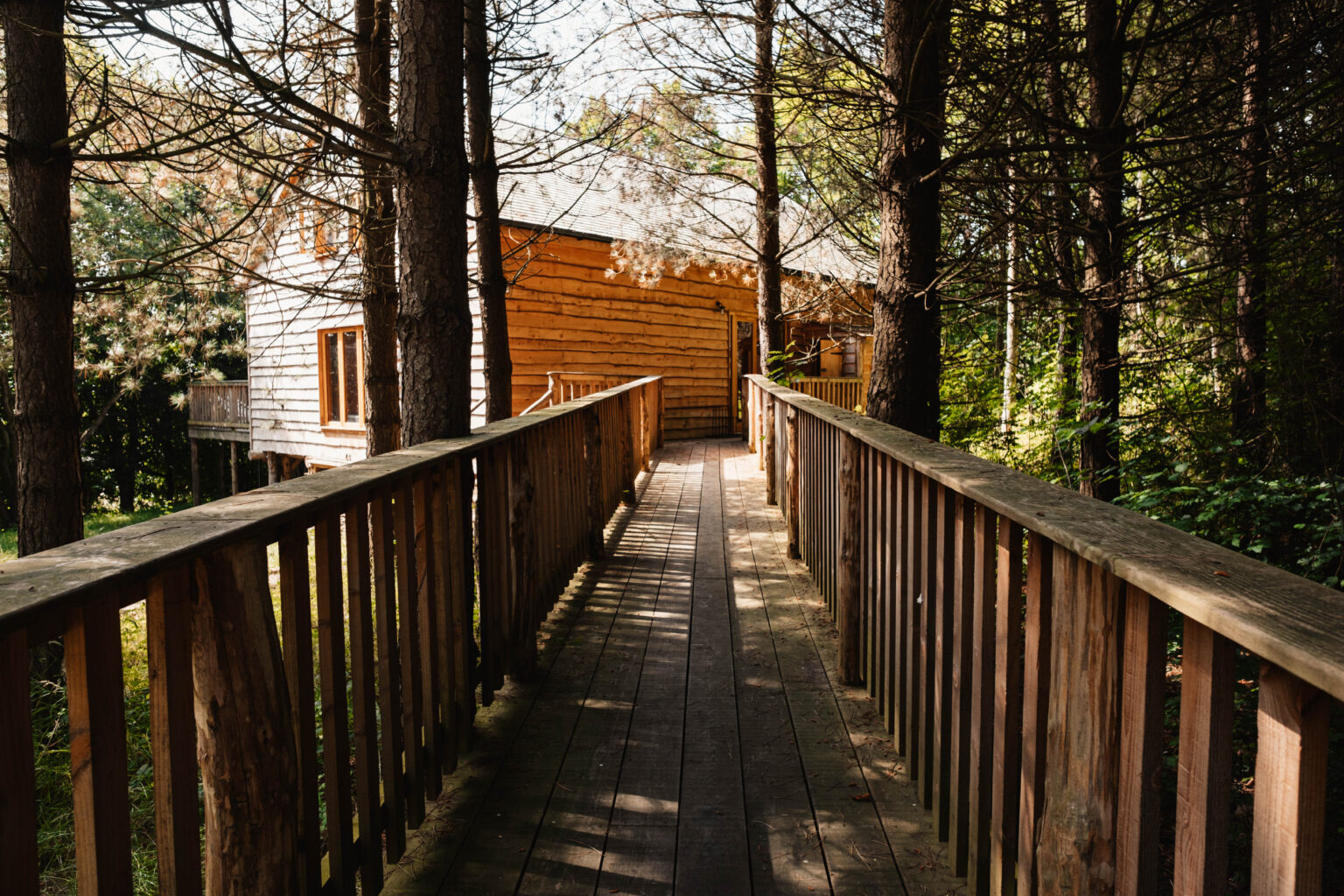 The Journey Man, Brook House Treeehouses