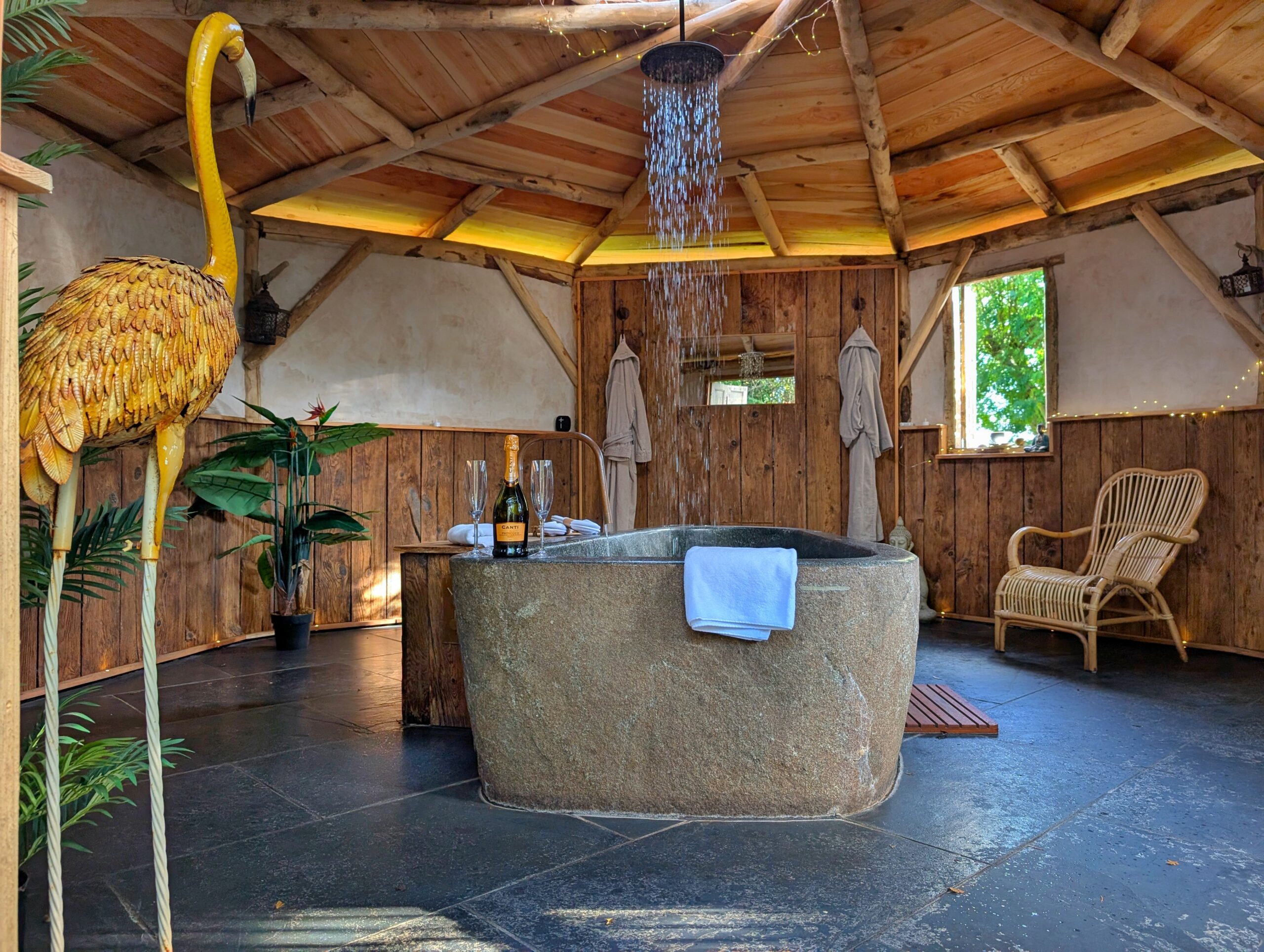 Georgiana Owners Competition content