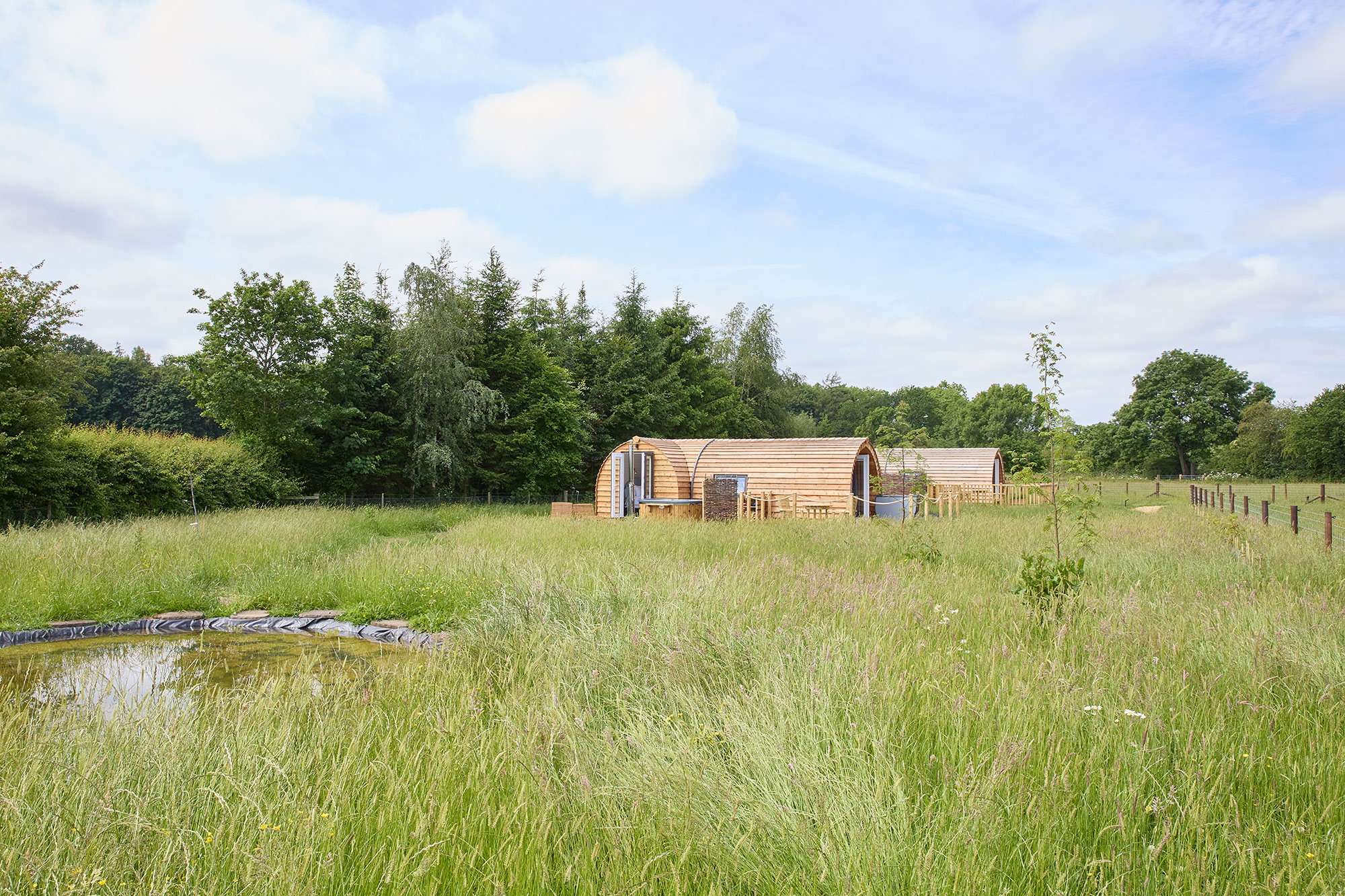 Helmsley Meadows